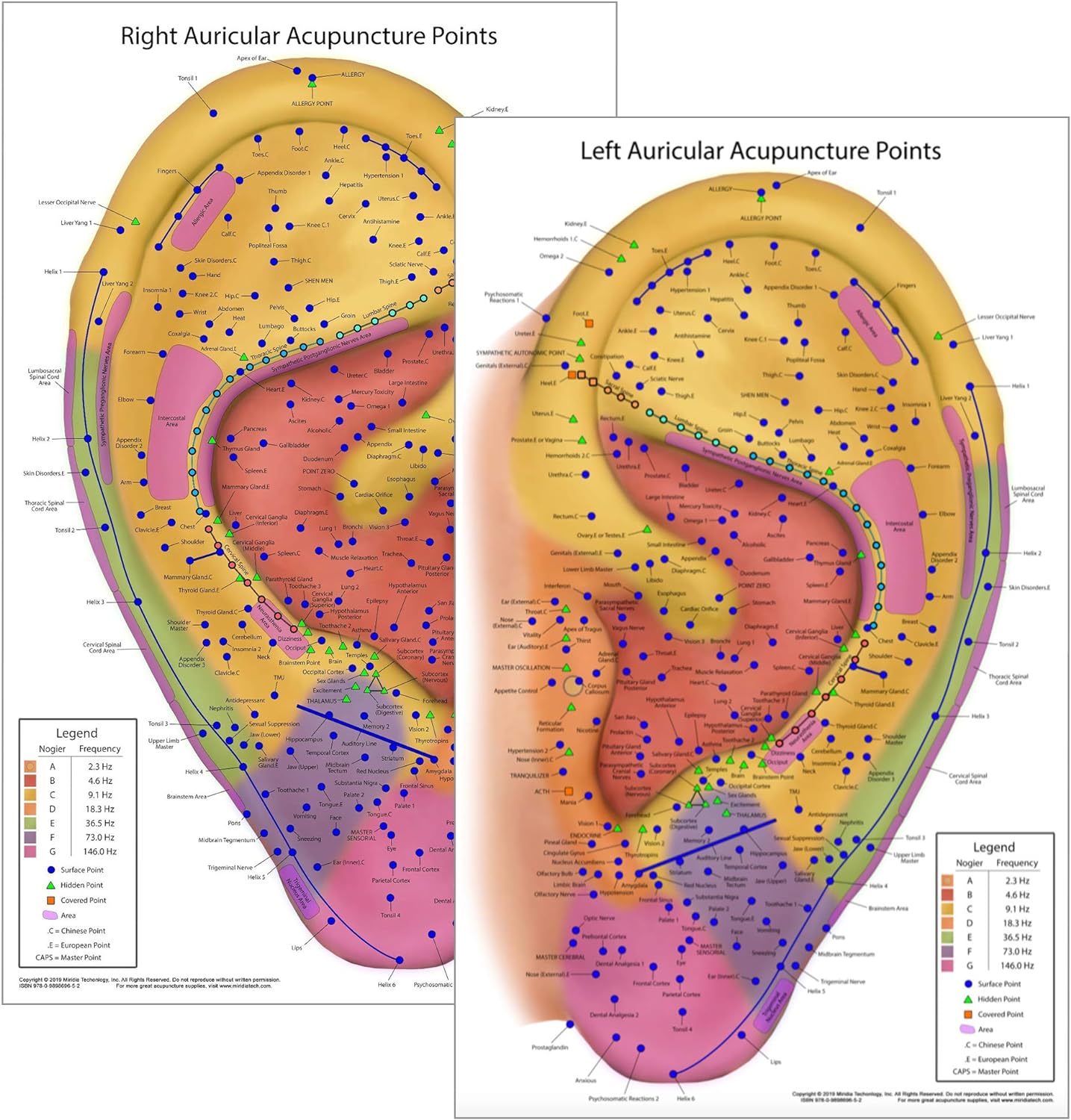 Ultimate Auriculotherapy Reference Card, Showing All Ear Points, Areas, Sequences and Nogier Frequency Zones [Waterproof, 2-Sided, 8.5x14 inches]