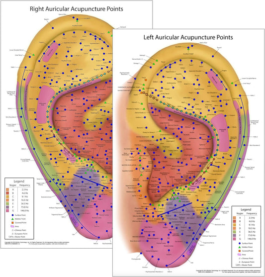 Ultimate Auriculotherapy Reference Card, Showing All Ear Points, Areas, Sequences and Nogier Frequency Zones [Waterproof, 2-Sided, 8.5x14 inches]