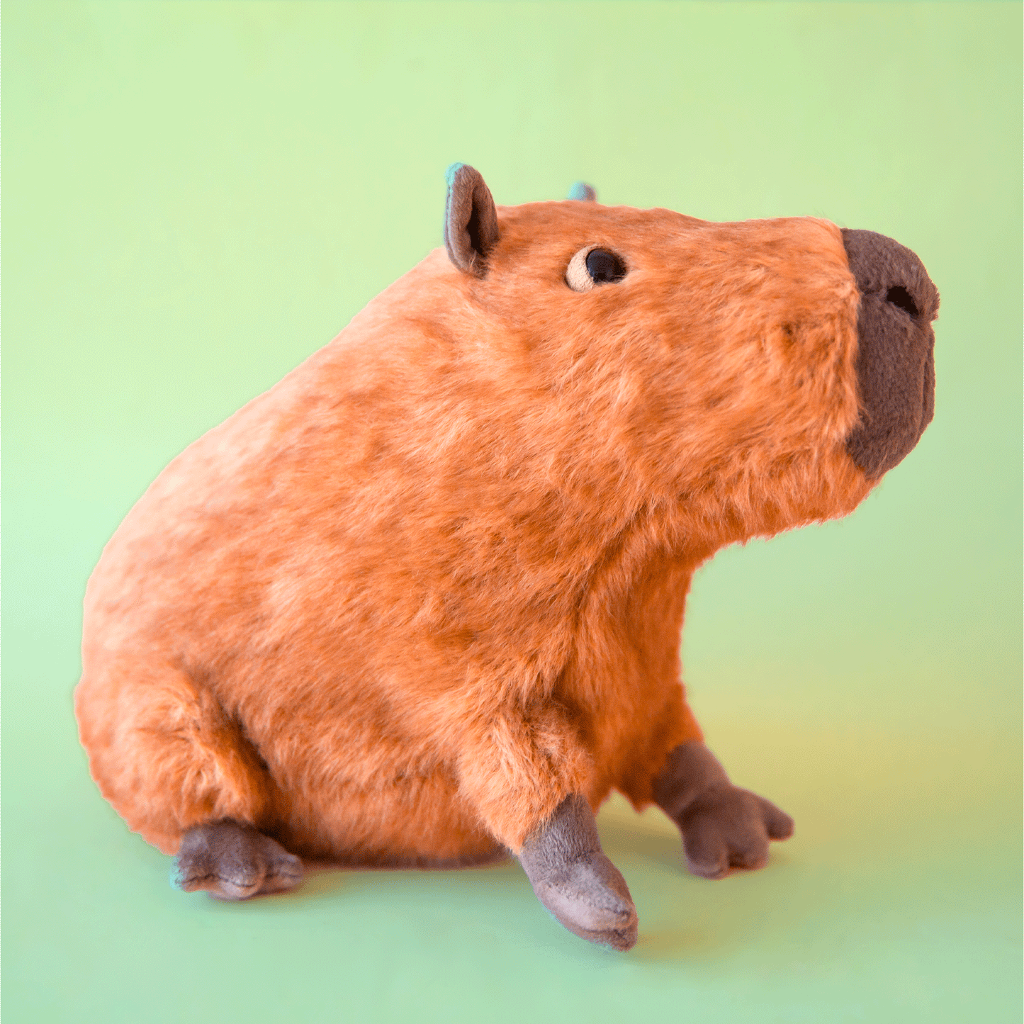 Clyde Capybara
