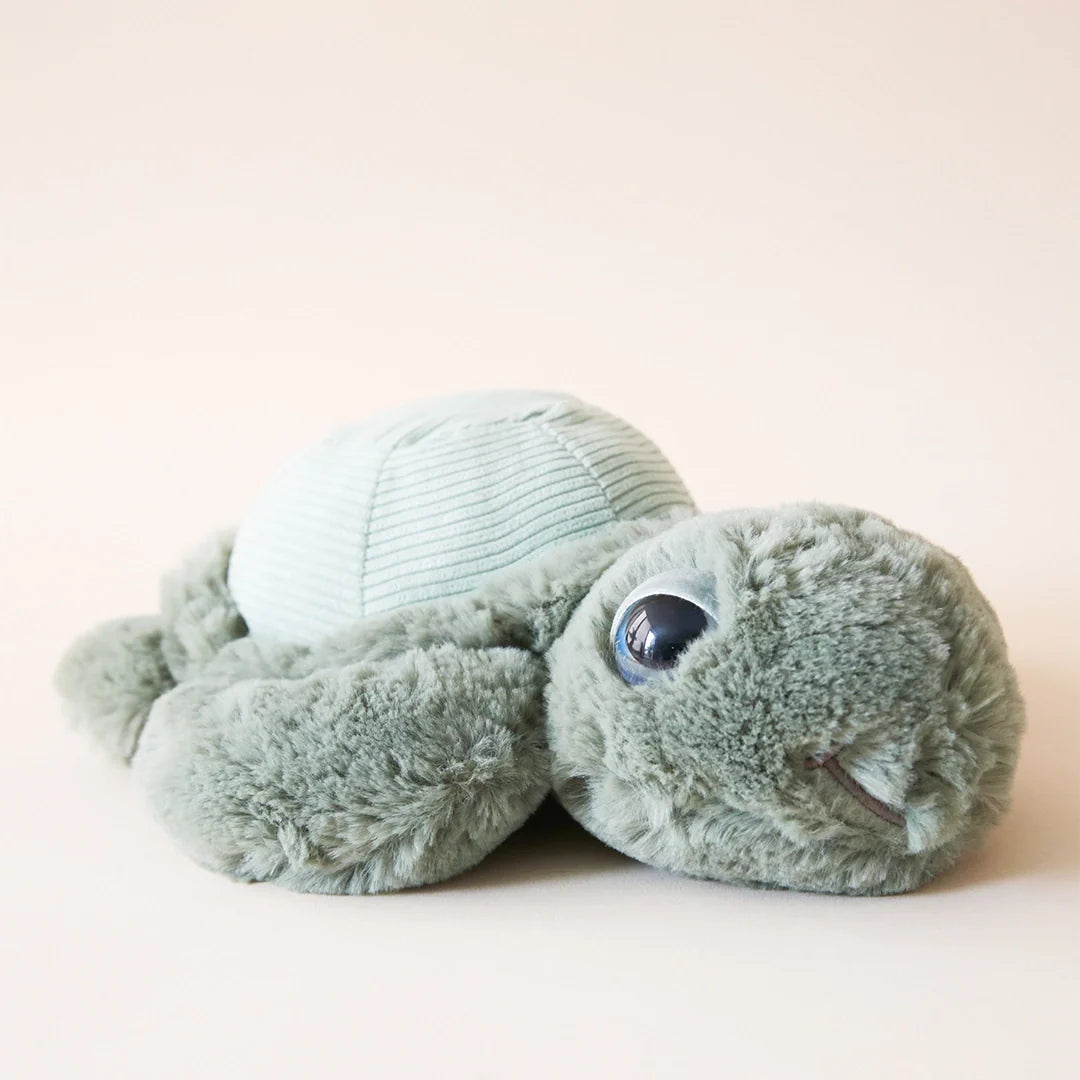 Tyler Turtle Stuffed Animal