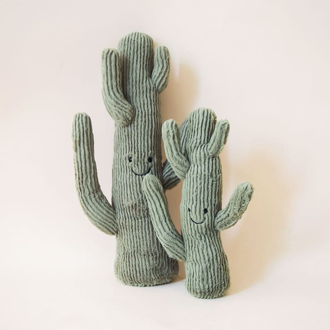 Amusable Desert Cactus