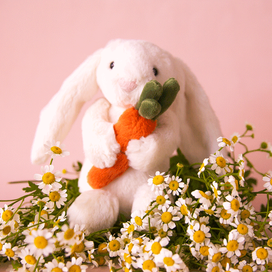 Bashful Bunny With Carrot